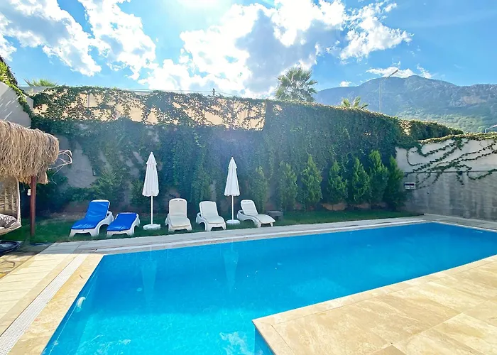 Patara Serenity 3+1 Villa, Oezel Havuzlu, * 费特希耶